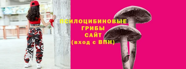 не бодяженный Алексин