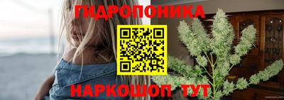 МДПВ Канаш