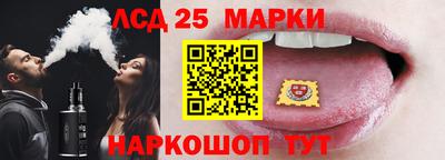 Альфа ПВП Кандалакша