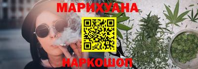 гидропоника Камышлов