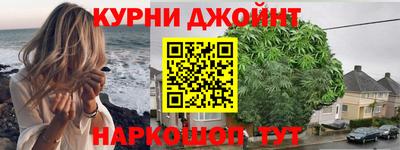 гидропоника Камышлов