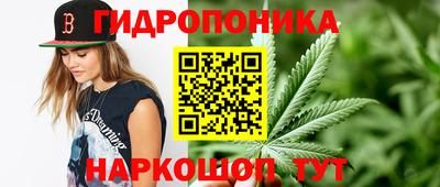 гидропоника Камышлов