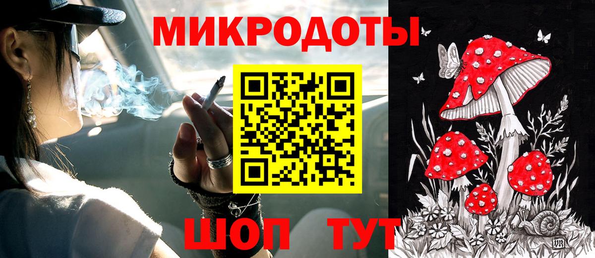 Галлюциногенные грибы Psilocybine cubensis Усинск