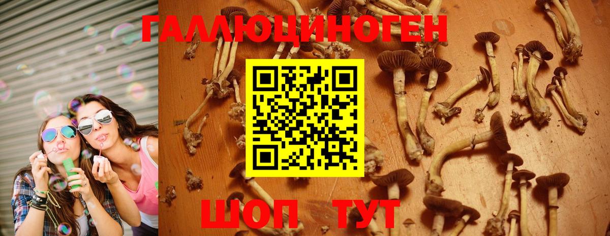 Галлюциногенные грибы MAGIC MUSHROOMS  Вход с VPN  Усинск  Псилоцибиновые грибы мицелий 